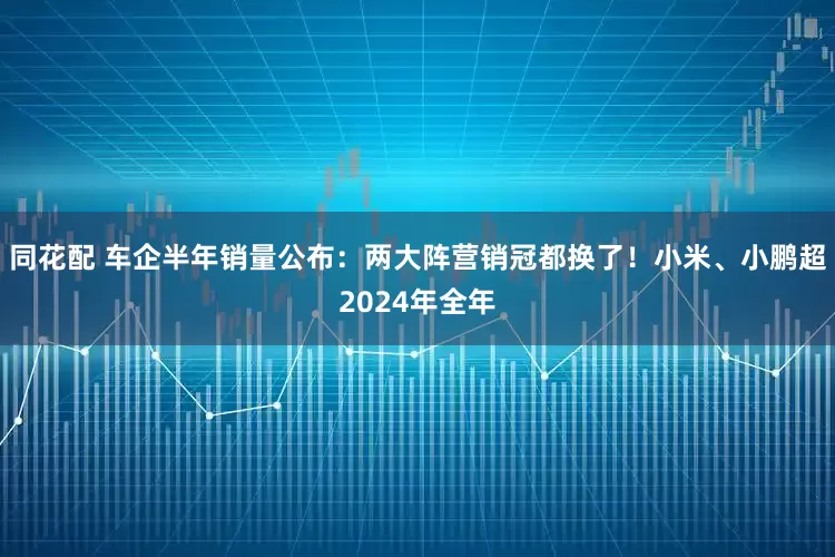 同花配 车企半年销量公布：两大阵营销冠都换了！小米、小鹏超2024年全年