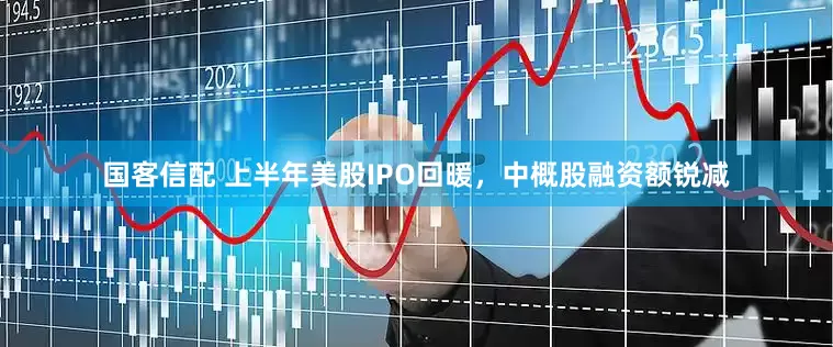 国客信配 上半年美股IPO回暖，中概股融资额锐减