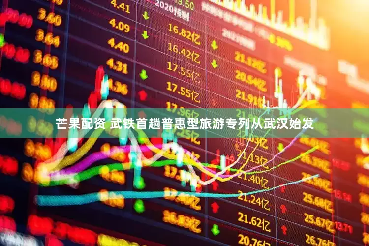 芒果配资 武铁首趟普惠型旅游专列从武汉始发