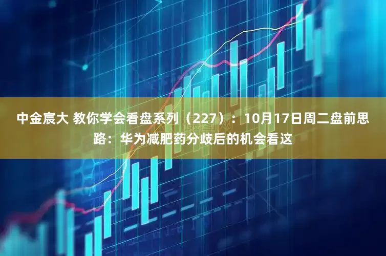 中金宸大 教你学会看盘系列（227）：10月17日周二盘前思路：华为减肥药分歧后的机会看这